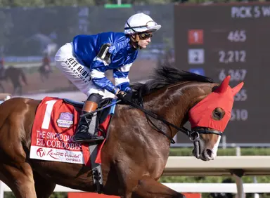 Weekend GamePlan: Picks for Joe Hirsch Turf Classic, City of Hope Mile, Vosburgh