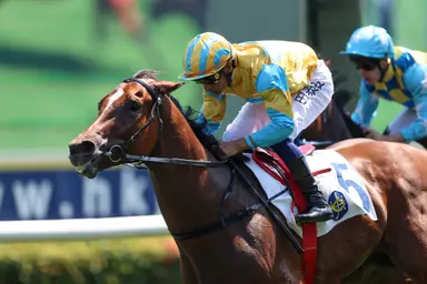 Karis Teetan eyes BMW Hong Kong Derby glory after Sha Tin double