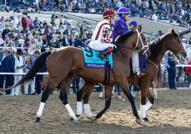 Journalism puts in first official work of year with Met Mile as potential goal