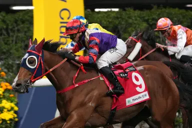 Frankie Lor, Alexis Badel take G3 January Cup with Happy Together