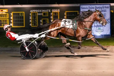 Buffalo: Fragment headlines Wednesday NY Sire Stakes