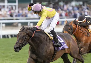 New York-breds in demand due to positive industry developments