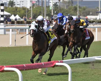 Tiz Dashing displays late kick to take Canadian Turf Stakes