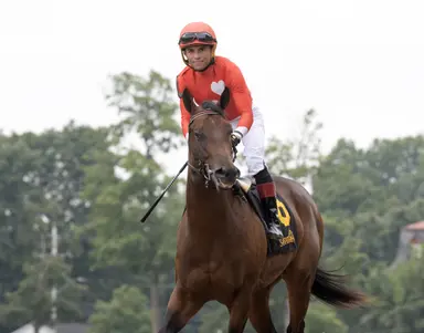 Grade 3-winning juvenile Jonathan's Way retired; will stand at Airdrie Stud