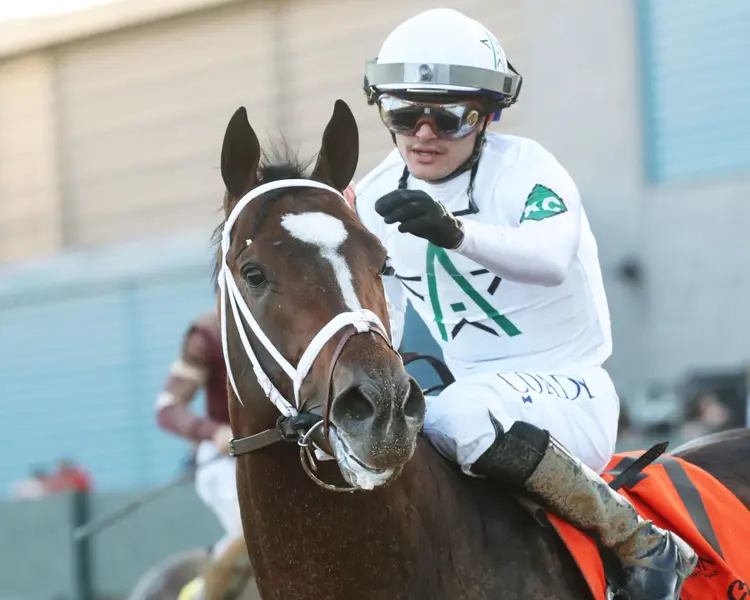TIMBERLAKE - Rebel Stakes G2 - 64th Running - 02-24-24 - R11 - Oaklawn Park - Come Back 01 - Renee Torbit.jpg