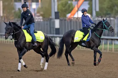 Kentucky Derby 2026: Japanese runners difficult to measure