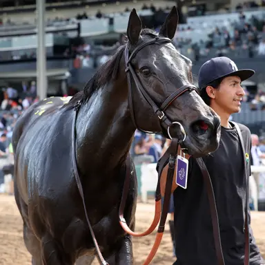 Fasig-Tipton November: Goodnight Olive, Nest fetch $6 million to top sale