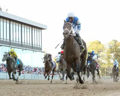 Road to the 2023 Kentucky Derby: Arkansas Derby analysis