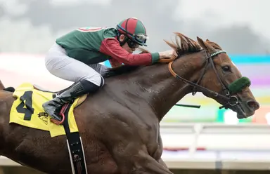 Grand Slam Smile has score to settle with Sneaker on turf