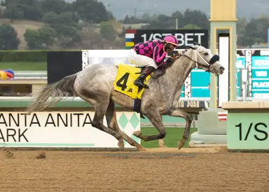 Pederson hopes frustrating filly can find winner's circle