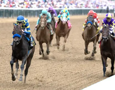 Preakness 2026: Baffert reroutes Crude Velocity to Woody Stephens; Silent Tactic works