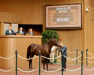 Keeneland September yearling sale figures show solid gains at midpoint