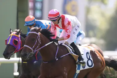 Ho, Bowman excel with Sha Tin trebles ahead of LONGINES IJC, Newnham slots three-timer