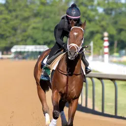 Belmont Stakes 2026: Pletcher believes Renegade sitting on another big race