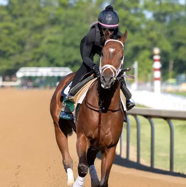 Belmont Stakes 2026: Pletcher believes Renegade sitting on another big race