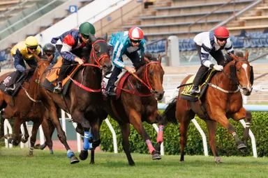Romantic Warrior dazzles in trial; Bowman excited for My Wish pairing