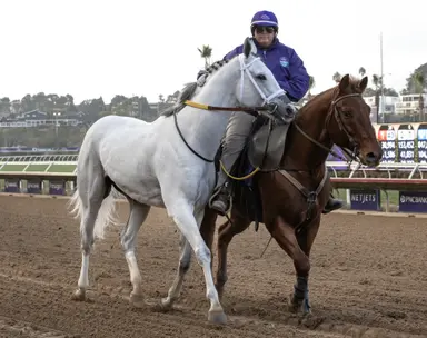 HISA issues advisory on ‘unsound’ horses