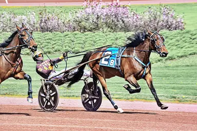 Pocono:  Favorites clean up in Weiss Series for 3-year-old male trotters