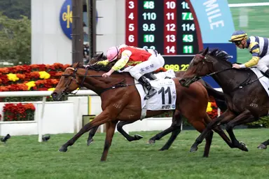 My Wish pleases Mark Newnham ahead of G3 Celebration Cup