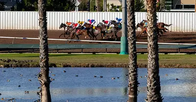 Los Alamitos cancels Saturday card due to nearby chemical spill