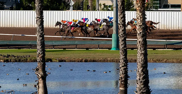 Racing at Los Alamitos Race, 2019