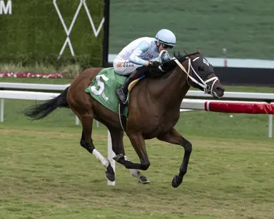 Kentucky Derby pedigree profile: Rapture