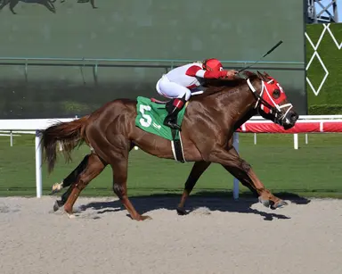 Unwritten Rule finally gets chance on turf in Roar Stakes