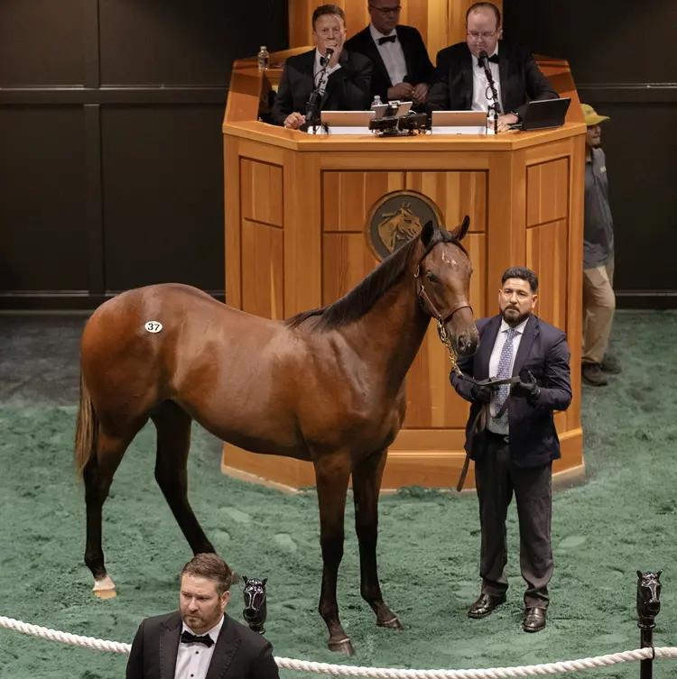 Hip 37.Saratoga.8-4-25.BL_.jpg