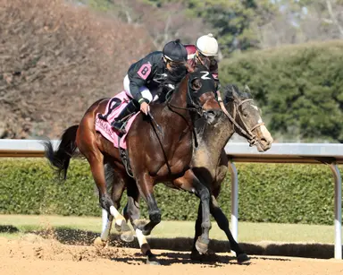 More distance better for live longshot Crupper in Bathhouse Row
