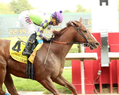 Tejano Twist takes Whitmore; Goodall prevails in Purple Martin