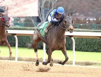 Weekend GamePlan: Picks for Robert B. Lewis, Bayakoa, Ladies' Turf Sprint