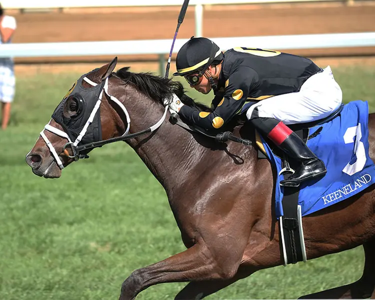 Bemma-s Boy wins an Oct. 4 allowance race at Keeneland Racecourse