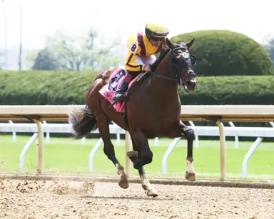 Royal Ascot: Americans trying to partake of a traditional racing feast