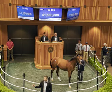 For $1.5 million, Eclipse Thoroughbreds gets rare find at Fasig-Tipton Saratoga