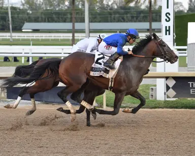 Kentucky Derby: Who's hot who's not for March 5, 2025
