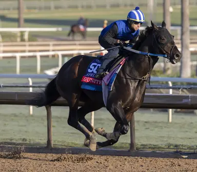 Gunite retired from racing, will stand at Coolmore's Ashford Stud