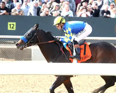 Brad Free's Santa Anita Horses to Watch for the week of Jan. 30-Feb. 1, 2026