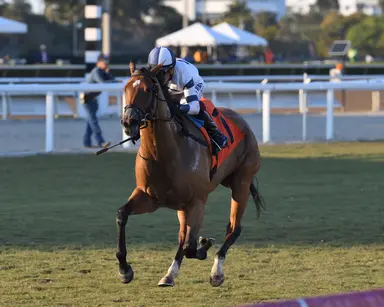 Lynch looks to continue turf stakes dominance with Moon Spun in Captiva Island