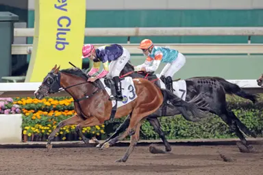 Declan Schuster's Hong Kong Selections and Analysis for Wednesday, October 25, 2023