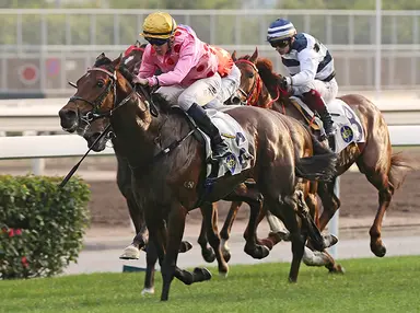 Declan Schuster's Hong Kong Selections and Analysis for Sunday, June 23, 2024