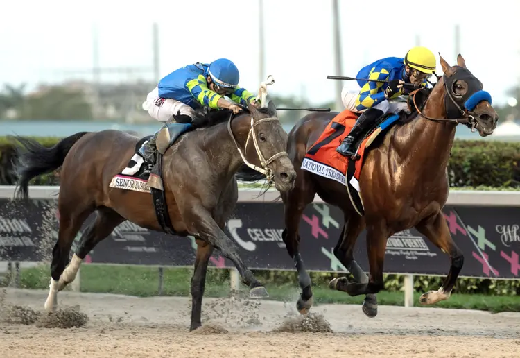 National Treasure (right) beats Senor Buscador in Pegasus World Cup at GP Jan 27 2024
