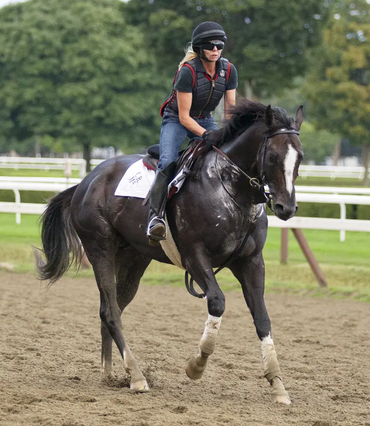 Honor Code03.8-20-15.BL_.jpg