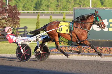 Woodbine Mohawk Park:  Brandon Blvd stellar in Somebeachsomewhere Stakes
