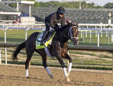 Forte placed on 14-day Kentucky vet's list; will not be able to run in Preakness