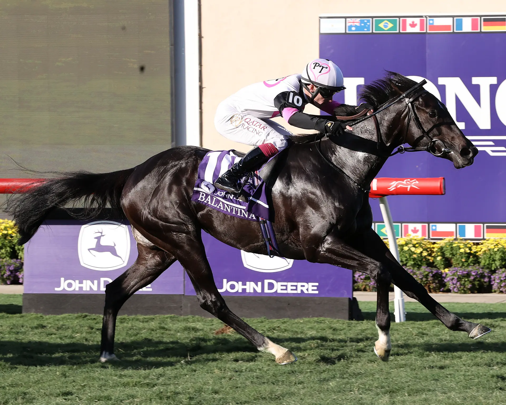 Juvenile Fillies Turf