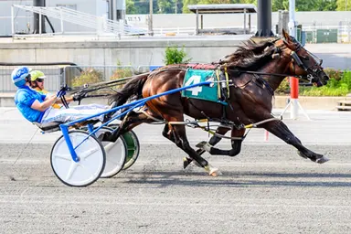 Harrington:  Watch Em Win fastest in DSBF opener