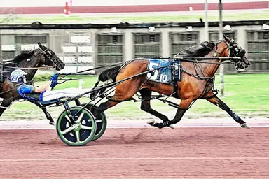 Pocono:  Unreasonable matches track record in Mohegan Cup