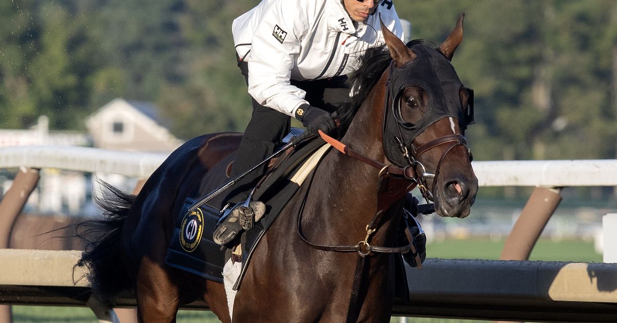 Golden Tempo draws post 9 to highlight Saturday's Travers field
