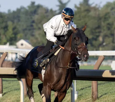 Golden Tempo draws post 9 to highlight Saturday's Travers field