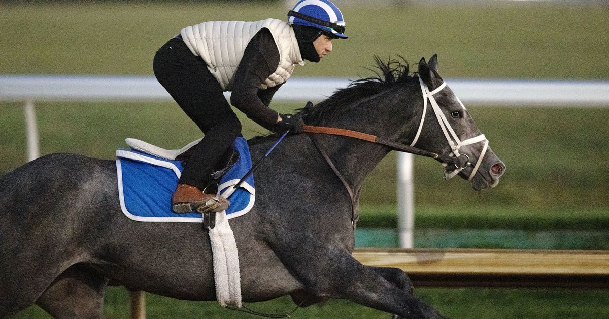 Breeders' Cup Juvenile Fillies: Frizette winner Dotsy withdrawn